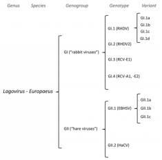 01034209c1486428178b06e9b58125d3.png 01034209c1486428178b06e9b58125d3.png