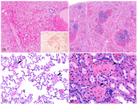 28839a085620163e473b80d20db5158e.png 28839a085620163e473b80d20db5158e.png